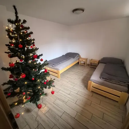 Gejza Prasnik